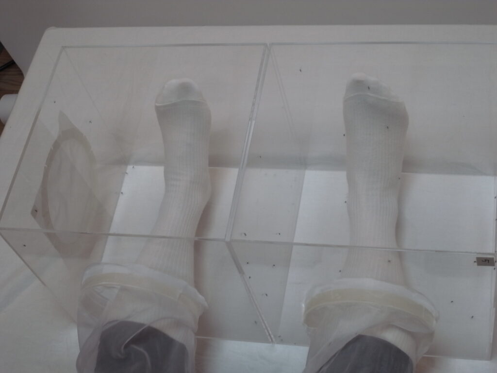 両足による蚊誘引、蚊忌避試験